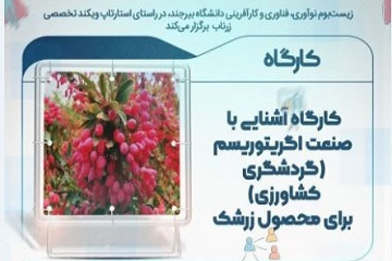 کارگاه آشنایی با صنعت اگریتوریسم (گردشگری کشاورزی) در محصول زرشک