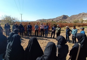 بازدید دانشجویان پردیس کشاورزی از باغات زرشک روستای پیرانج