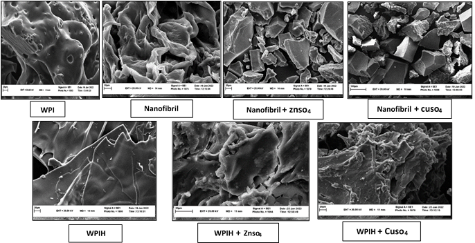 Innovative Organic Supplement for Ruminants Patented by University of Birjand Researchers